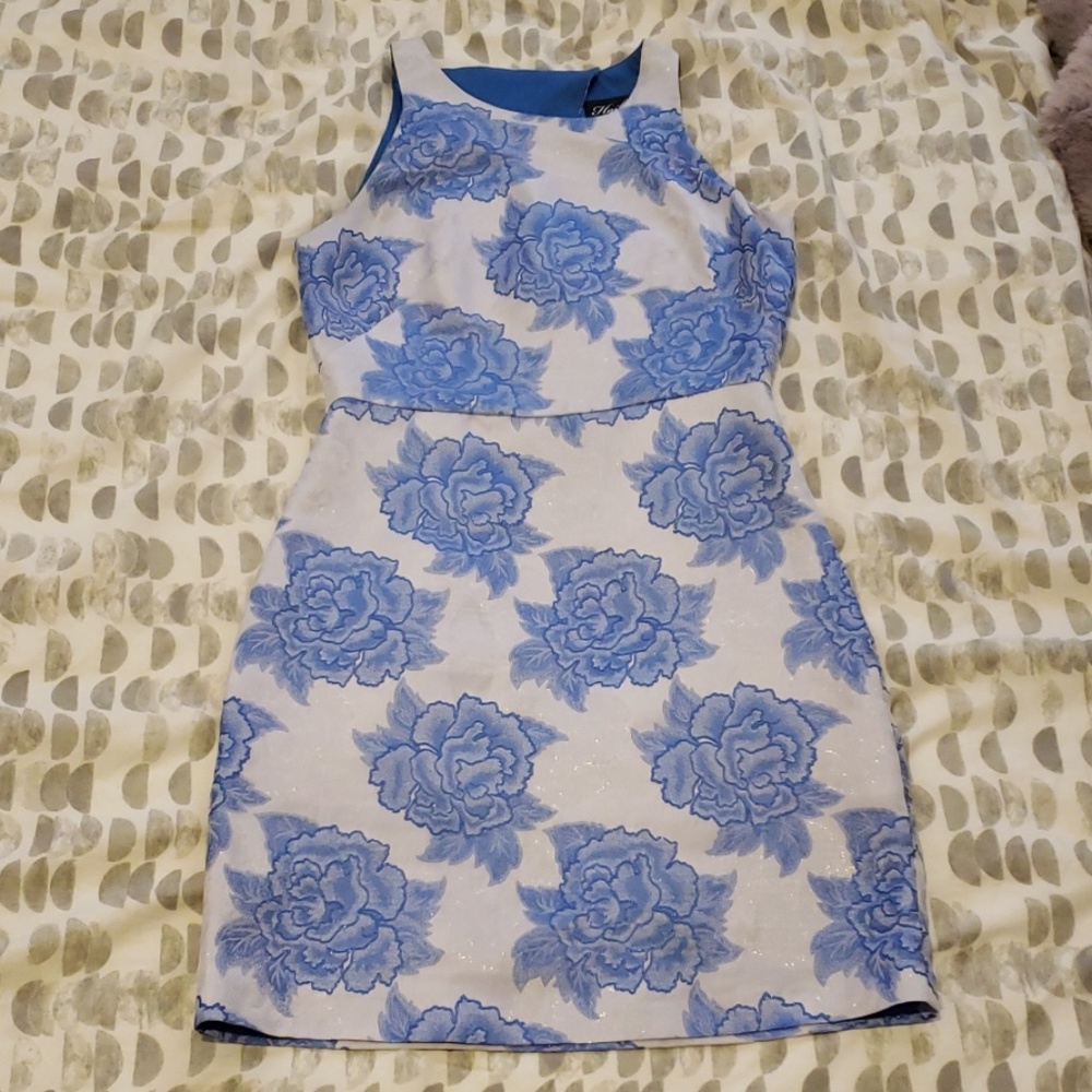 Adrianna Papell Hailey Dress